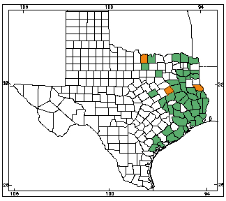 Pygmy Rattlesnake | Herps of Texas